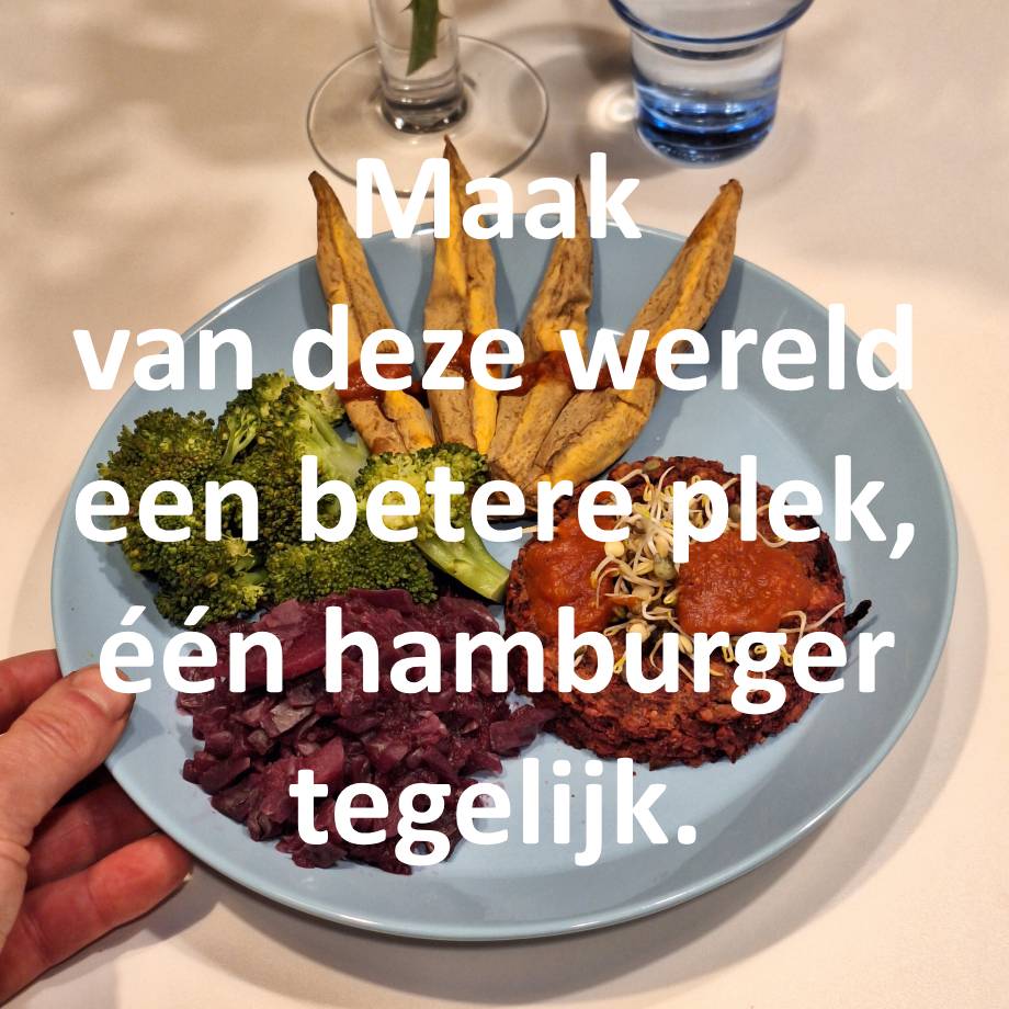 Rode bieten kikkererwtenburger